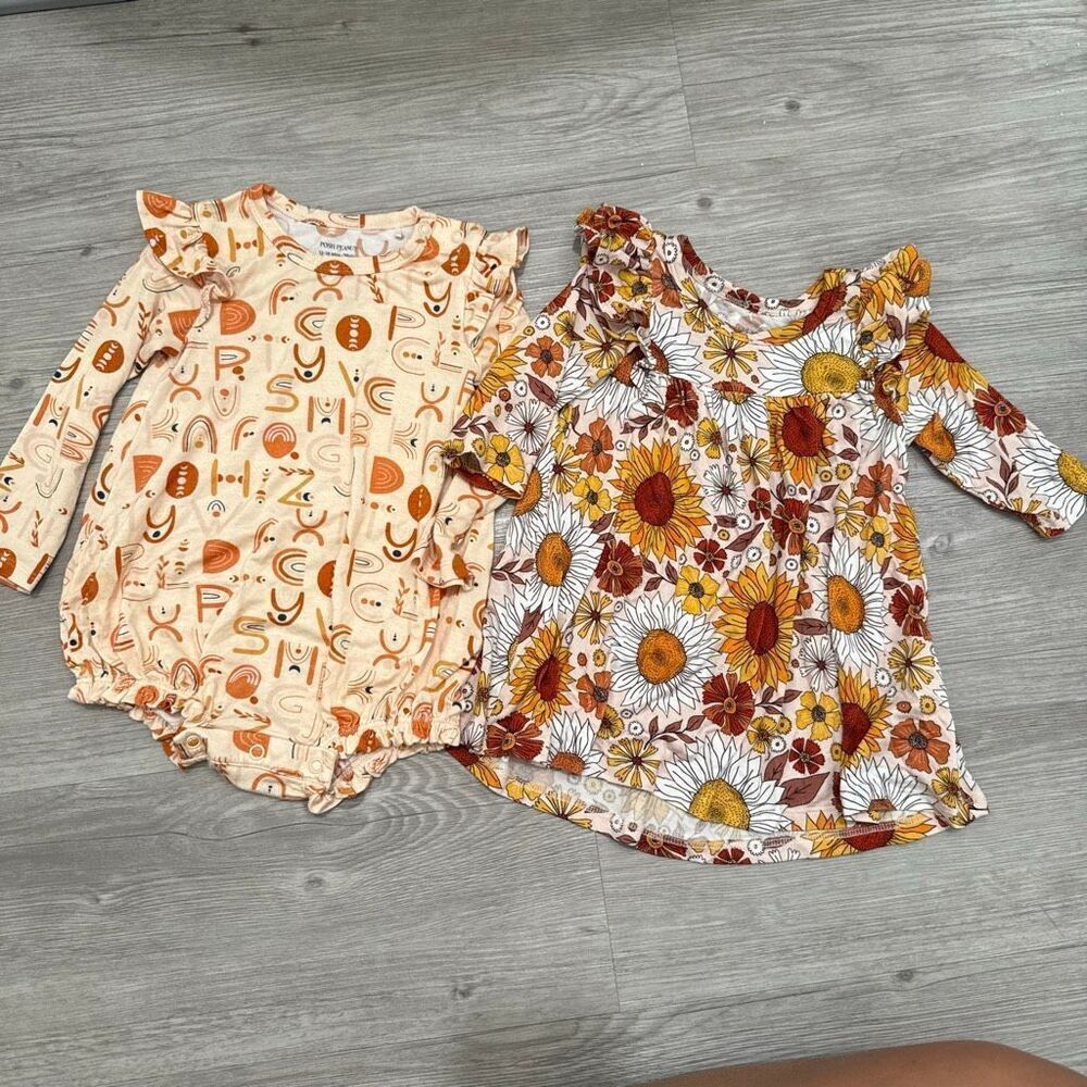 Posh Peanut Set of 2 outfits flutter dress and bubble romper Size 12-18 months
